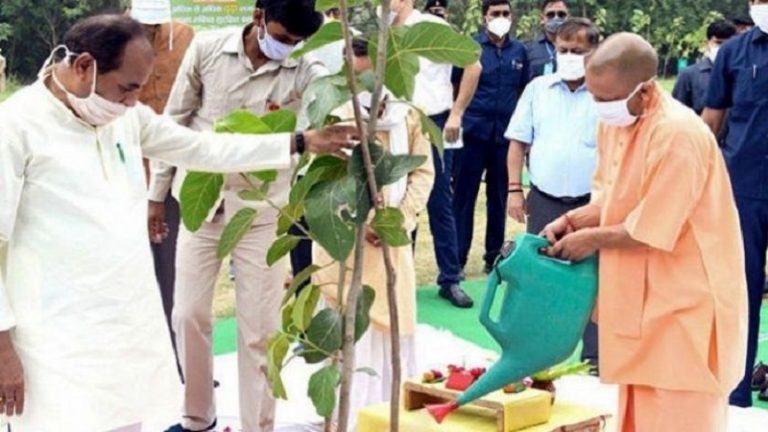 योगी सरकार ने 12 घंटे में लगाए 25.5 करोड़ पौधे, पिछले 4 सालों में UP में वृक्षारोपण से बढ़ा 3% फॉरेस्ट कवर
