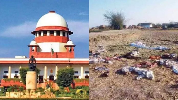 सेनारी नरसंहार, सुप्रीम कोर्ट