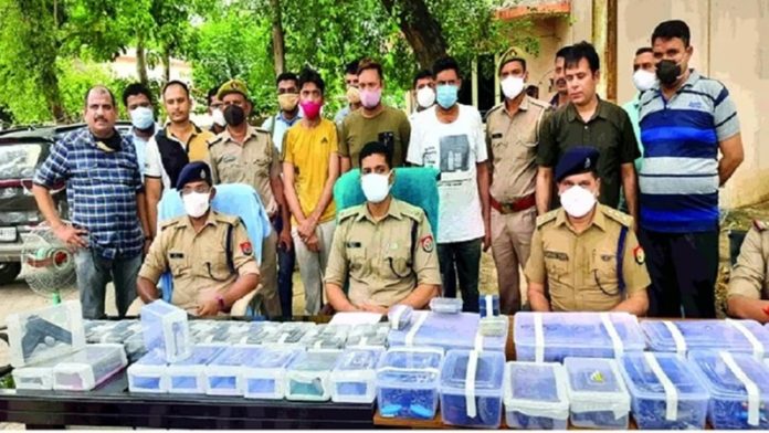 अवैध हथियार फैक्टरी