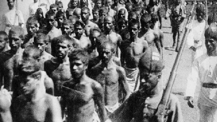 मोपला नरसंहार, स्वतंत्रता आंदोलन