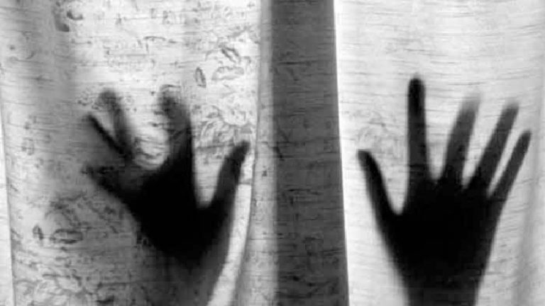 तालाब से निकाली गई हिंदू नाबालिग लड़की की लाश: शाकिब, सलामुद्दीन, इक़बाल पर रेप, अपहरण और हत्या का आरोप