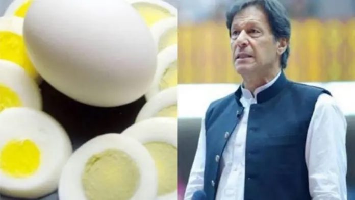 पाकिस्तान, इमरान खान, मुर्गियाँ