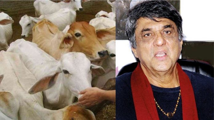 मुकेश खन्ना, गो हत्या