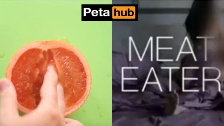 गो वीगन के नाम पर ‘SEX’ बेच रहा PETA, प्रमोशन के लिए सेक्सुअल एक्ट का सहारा: Video में दिखाए फलों के साथ ‘गंदे’ प्रयोग