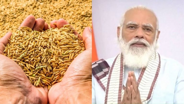 रबी फसलों की MSP में ₹40-400 तक की बढ़ोतरी: PM मोदी ने कहा- किसानों को मिलता रहेगा फसलों का अधिकतम लाभकारी मूल्‍य