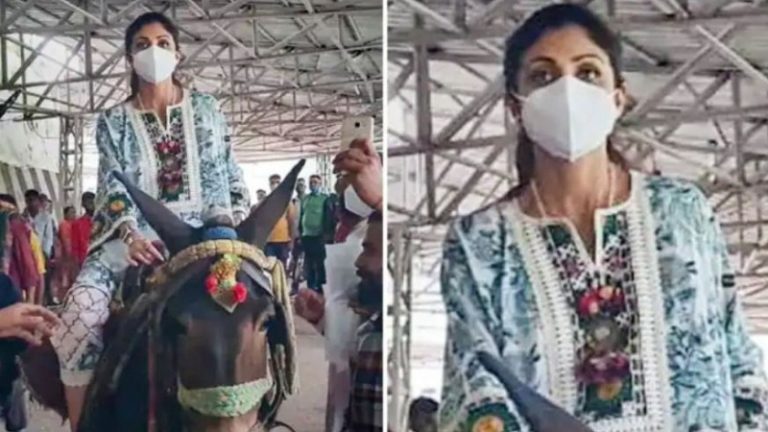 1500 पन्नों की चार्जशीट में 47 गवाह: शिल्पा शेट्टी ने कहा- ‘अपने काम में बिजी थी, नहीं जानती थी राज कुंद्रा क्या कर रहे थे’