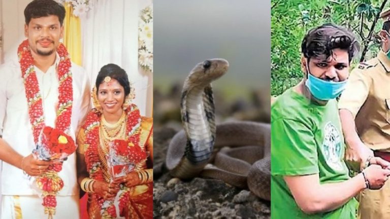कोबरा को सप्ताह भर रखा भूखा, फिर सोती पत्नी पर छोड़ दिया: हत्या को हादसा बताने वाले पति को ऐसे मिली सजा