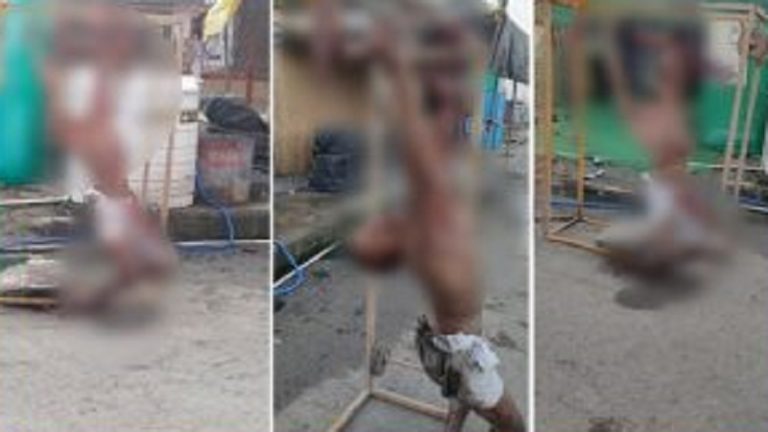 ‘मेरा सिर कलम कर दो…इस दर्द से निजात मिले’: कुंडली बॉर्डर पर युवक माँगता रहा भीख, जवाब मिला- तू तड़प-तड़प कर मर