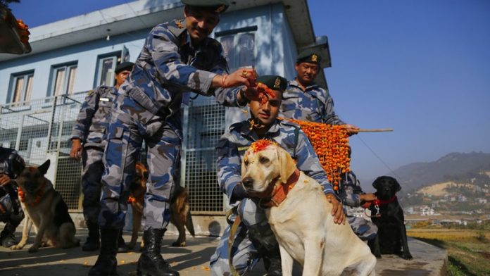 नेपाल में होती है कुत्तों की पूजा