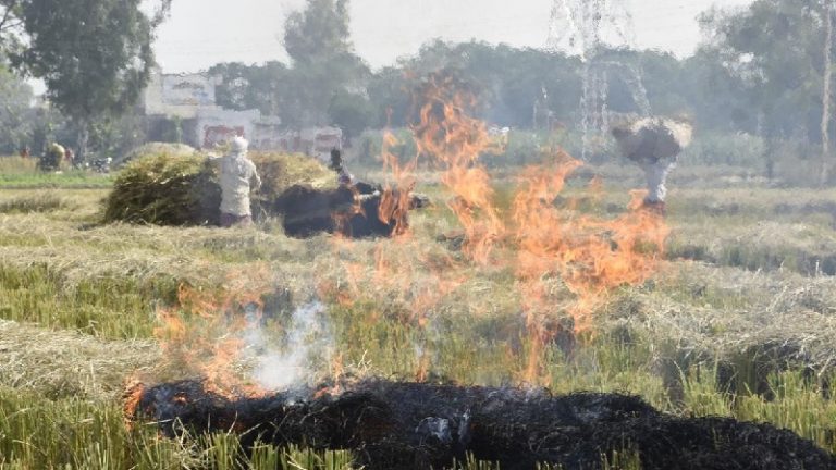 ‘किसानों की आलोचना का फैशन बन गया है’: प्रदूषण को लेकर सुप्रीम कोर्ट नाराज़, कहा – 2 दिन का लॉकडाउन या गाड़ियों को रोक दो