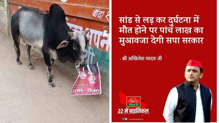 समाजवादी पार्टी, अखिलेश यादव