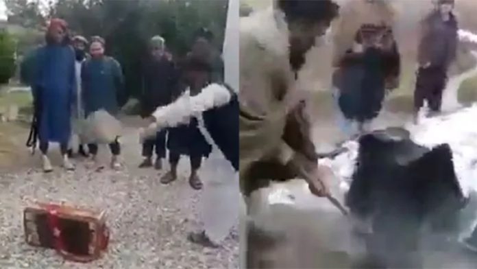 हारमोनियम तालिबान अफगानिस्तान