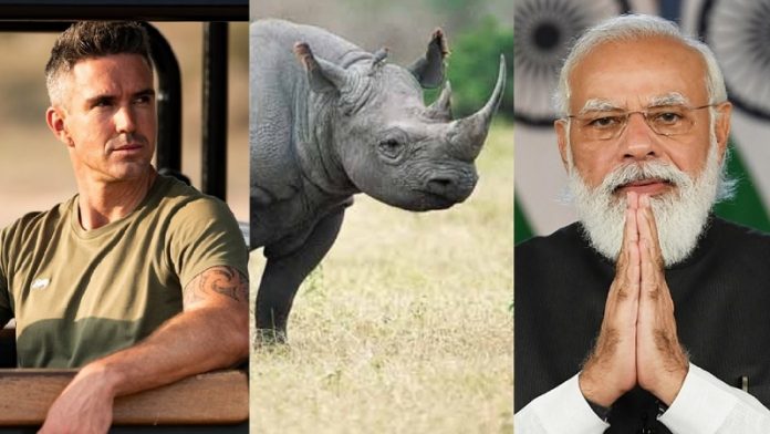 केविन पीटरसन, गैंडा, नरेंद्र मोदी