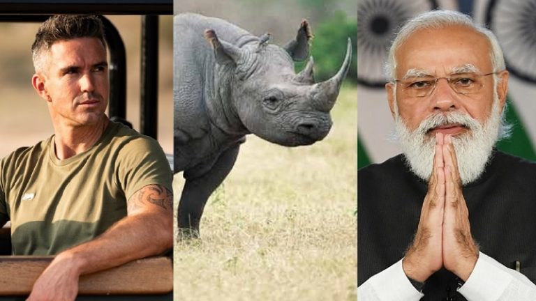2021 में मात्र एक गैंडे का शिकार, कॉन्ग्रेस काल में मरे थे 167: केविन पीटरसन ने PM मोदी को दिया धन्यवाद, कहा – BRAVO