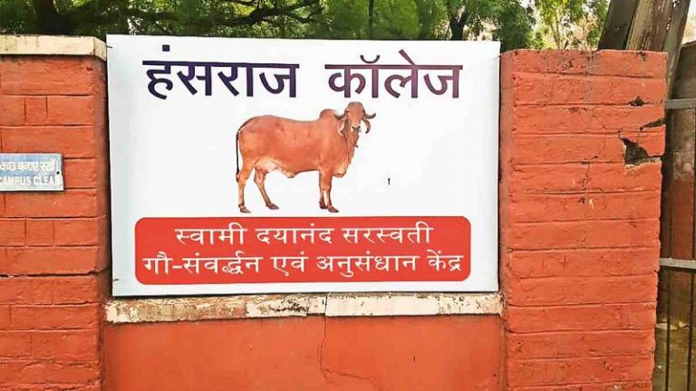 DU के हंसराज कॉलेज में खुला ‘गौशाला’: छात्रों को मिलेगा शुद्ध दूध-दही, वामपंथी छात्र संगठन SFI उतरा विरोध में