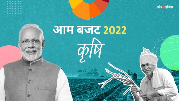 बजट 2022, कृषि, किसानों