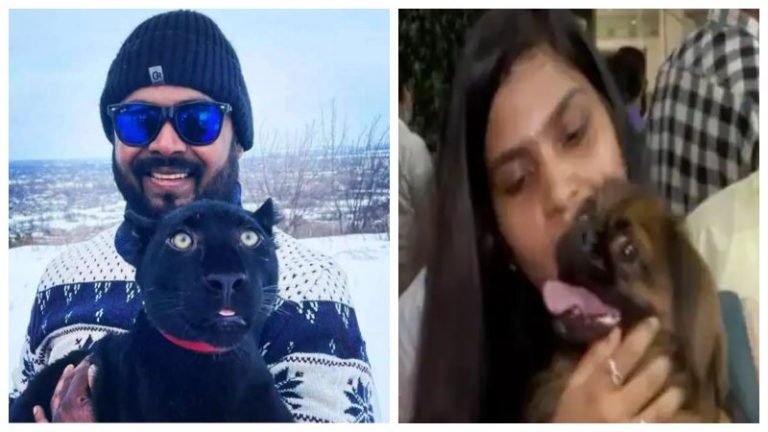 यूक्रेन से अपना जगुआर और तेंदुआ छोड़ भारत लौटने को राजी नहीं डॉक्टर, लड़की ने कुत्ते के लिए 4 फ्लाइट और सामान भी छोड़ा