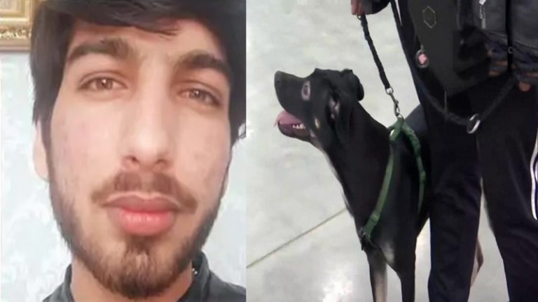पाकिस्तान की मारिया को बचाने के लिए बमबारी से भी नहीं डरे हरियाणा के अंकित, यूक्रेन से कुत्ते को लेकर ही लौटे ऋषभ