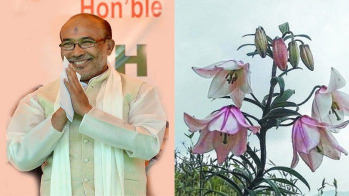 मणिपुर, BJP, शिरुई लिली