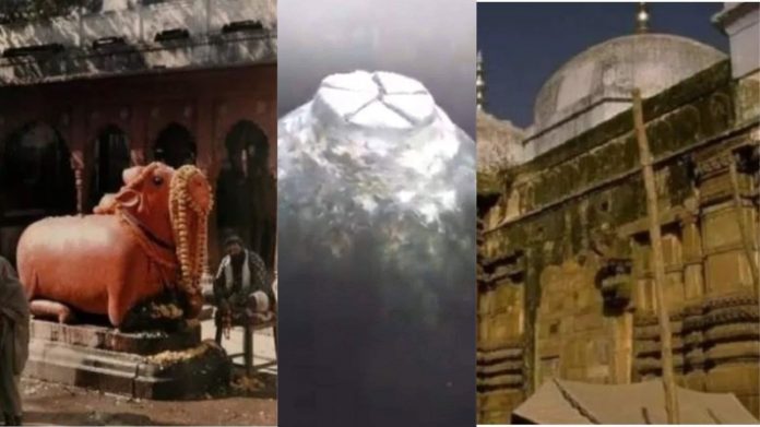 शिवलिंग ज्ञानवापी मस्जिद