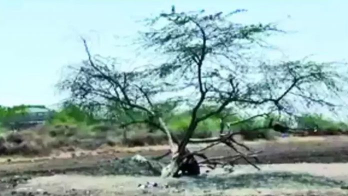 गुजरात