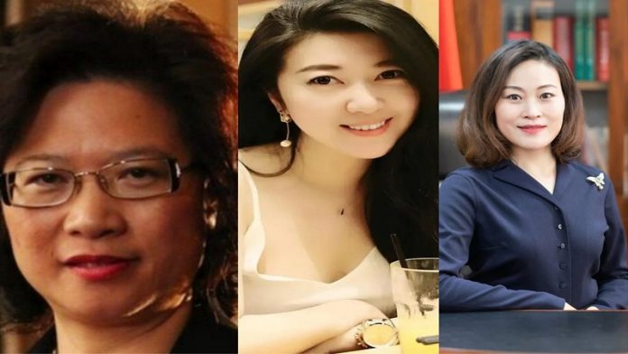 क्रिस्टीन ली, क्रिस्टीन फेंग, होउ यांकी