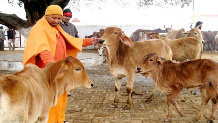 योगी सरकार उत्तर प्रदेश