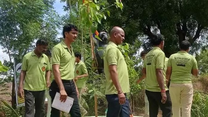 औरंगाबाद, पति, पीपल पूजा