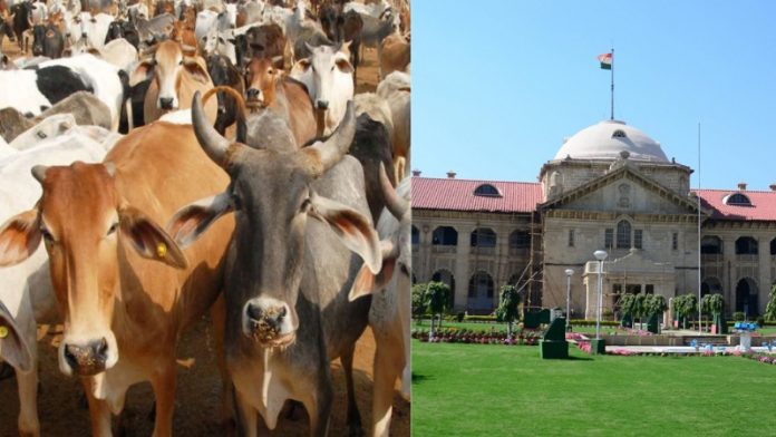 गौसेवा, गौशाला, गोकशी, इलाहाबाद कोर्ट