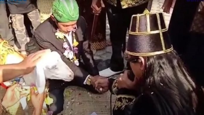 सैफुल आरिफ बकरी निकाह