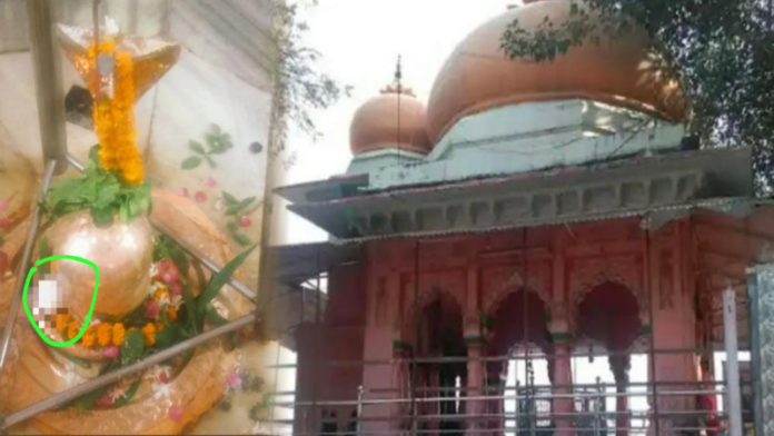 प्रयागराज मंदिर शिवलिंग अंडा