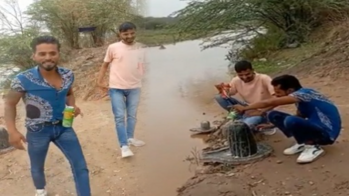 शिवलिंग बियर वीडियो
