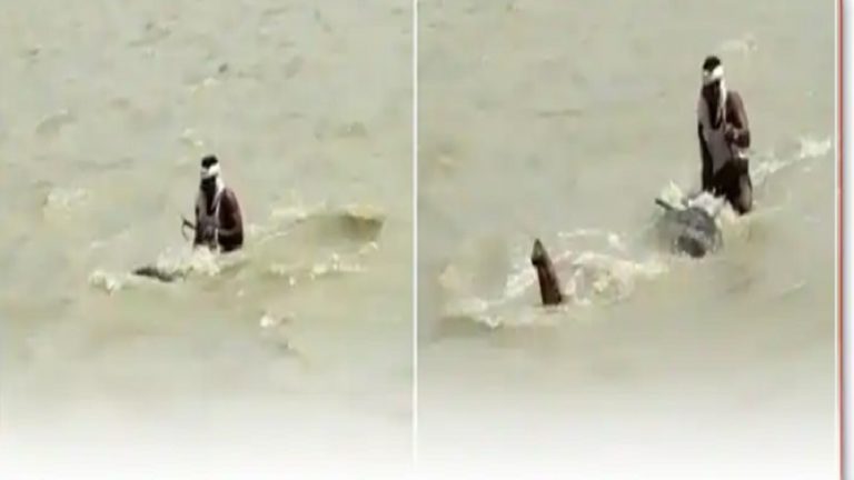 तेज़ धार वाली उफनती गंगा में हाथी ने 1 km तैर कर बचाई व्यक्ति की जान, कान-गर्दन पकड़े बैठा रहा: सूँड़ निकाल लेता रहा साँस, देखें वीडियो