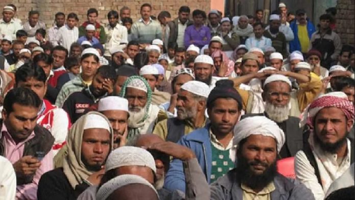 अल्पसंख्यक, बहुसंख्यक, मुस्लिम, संविधान