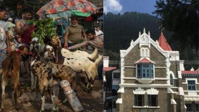 उत्तराखंड HC बकरीद