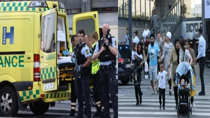 डेनमार्क, फायरिंग, फील्ड्स मॉल