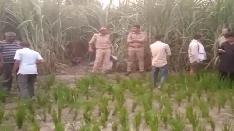 इरफान-इरशाद ने अंकित को घर बुलाया, बाद में गन्ने के खेत में मिली लाश: अमीना से अफेयर के चलते दलित युवक की हत्या का आरोप
