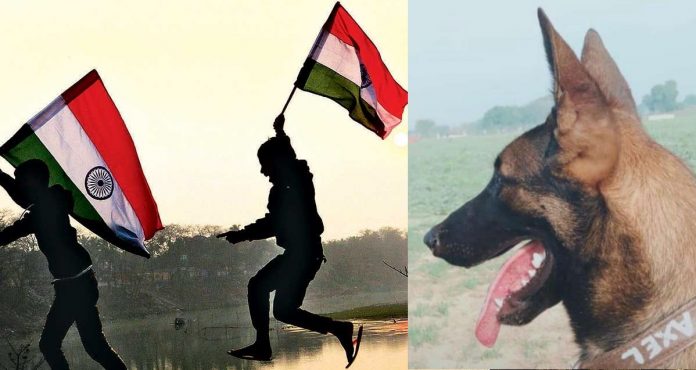 एक्सल वीरता पुरस्कार