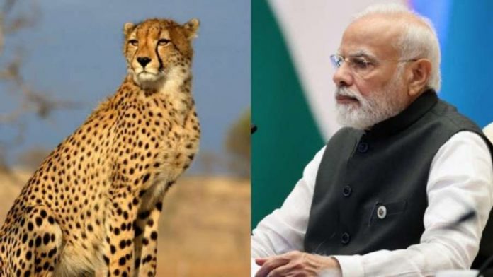 पीएम मोदी