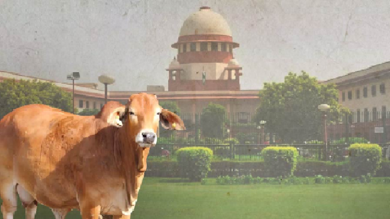 ‘ऐसी याचिकाएँ लेकर ही क्यों आते हो?’: सुप्रीम कोर्ट ने ख़ारिज की गाय को राष्ट्रीय पशु घोषित करने की माँग वाली याचिका, सुनवाई से भी किया इनकार