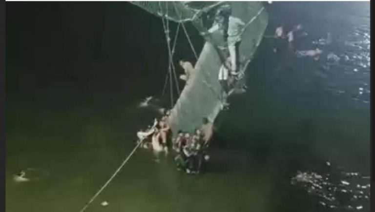 घड़ी, बल्ब और ई-बाइक्स बनाने वाली कंपनी, जिसने बिना अनुमति खोल दिया मोरबी पुल: जानिए कौन है मालिक, 200 एकड़ में फैली है फैक्ट्री