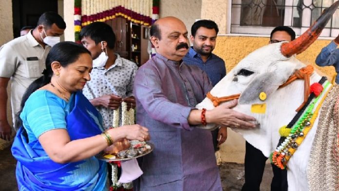 कर्नाटक, गाय