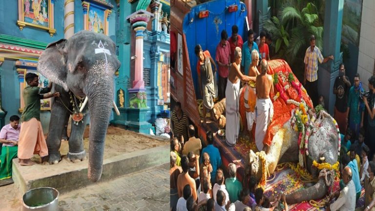 मॉर्निंग वॉक पर निकली मंदिर के हथिनी ‘लक्ष्मी’ की मौत, लोगों ने रोते हुए दी अंतिम विदाई: लोगों ने एक्टिविस्ट्स को बताया जिम्मेदार
