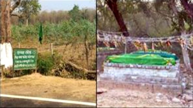 जंगलों में बना दिए मजार, उत्तराखंड में 15 पर चले बुलडोजर: 2000+ अवैध मजारें होने का दावा आया था सामने, CM ने कहा था- कुकुरमुत्ते की तरह पनप रहे