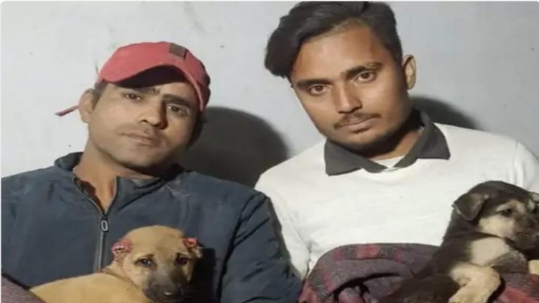 एक पिल्ले के कान काटे-दूसरे की पूँछ, फिर नमक लगाकर खा गए: चखने के लिए बरेली के 2 शराबी बन गए अमानुष