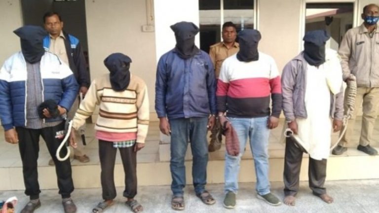 इमरान अली के घर से 500 Kg गोमांस बरामद, 17 ज़िंदा गायें भी बचाई गईं: 3 घंटे तक चली छापेमारी के बाद 5 गिरफ्तार