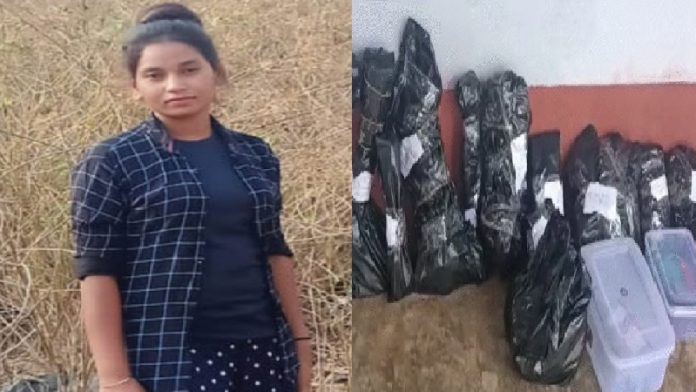 रिबिका की तस्वीर और उसके टुकड़े