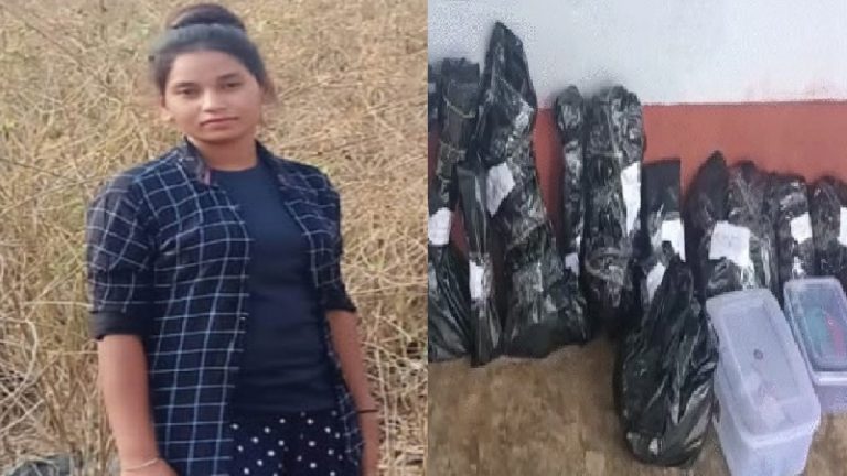 हत्या से पहले दिलदार अंसारी के मामा और दोस्त ने गर्भवती जनजातीय महिला से किया था रेप, पहचान छिपाने के लिए उतार दी खाल: प्लास्टिक बिछा कर टुकड़े-टुकड़े किया