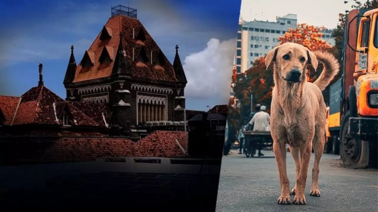 माना आप बच्चे की तरह करते हैं प्यार, पर आदमी नहीं है कुत्ता: बॉम्बे HC ने FIR रद्द कर पुलिस पर लगाया जुर्माना, मोड़ पर टक्कर में ठोक दिया था 279/337
