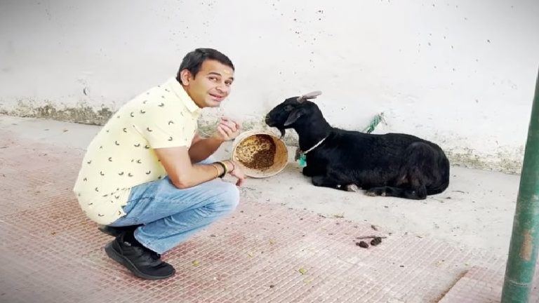 पापा (लालू यादव) ने इनको बहुत शौक से रखा है, प्यार से इनको मौलाना साहब कहते हैं: तेज प्रताप यादव ने दिखाई राबड़ी देवी के बंगले की बकरी